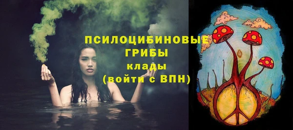 прущие грибы Аркадак