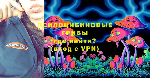 прущие грибы Аркадак