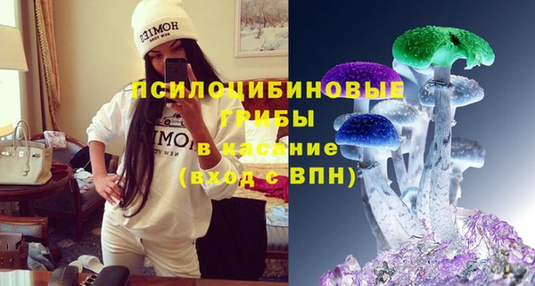 дживик Арсеньев