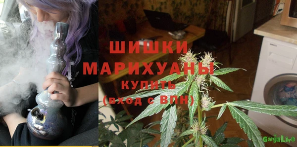 прущие грибы Аркадак