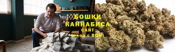 прущие грибы Аркадак